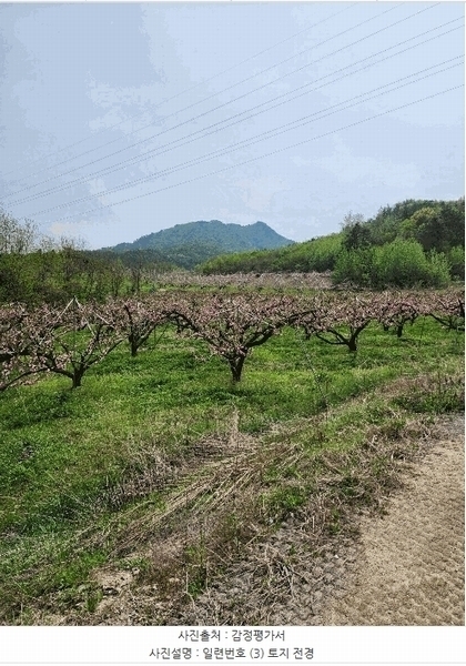 2025타경30490 충청북도 충주시 앙성면 능암리 597 잡종지 경매 이미지