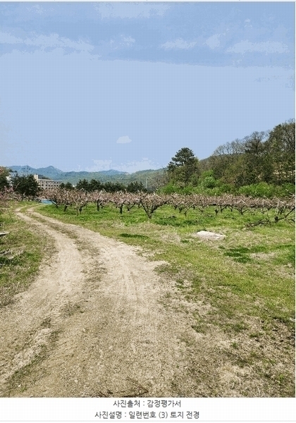 2025타경30490 충청북도 충주시 앙성면 능암리 597 잡종지 경매 이미지