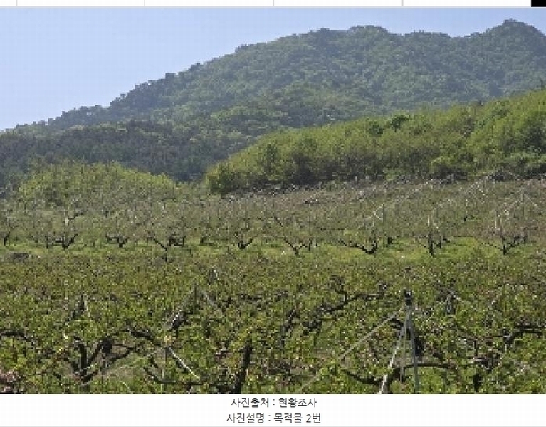 2025타경30490 충청북도 충주시 앙성면 능암리 597 잡종지 경매 이미지