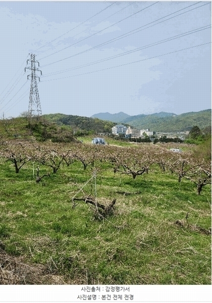 2025타경30490 충청북도 충주시 앙성면 능암리 597 잡종지 경매 이미지