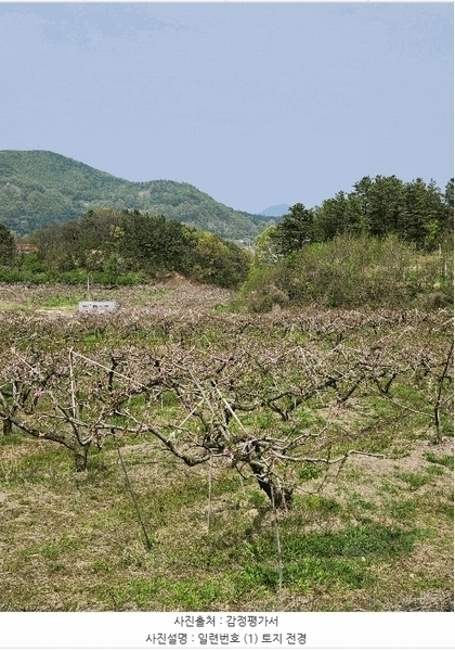 2025타경30490 충청북도 충주시 앙성면 능암리 597 잡종지 경매 이미지