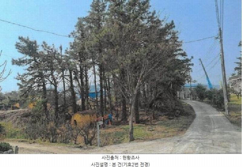 2025타경30497 강원특별자치도 강릉시 구정면 금광리 산170-1 임야 경매 이미지