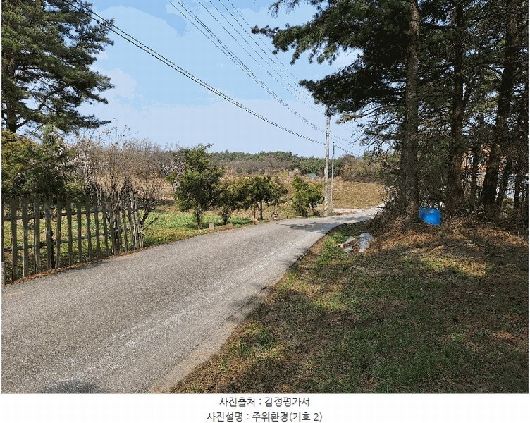 2025타경30497 강원특별자치도 강릉시 구정면 금광리 산170-1 임야 경매 이미지