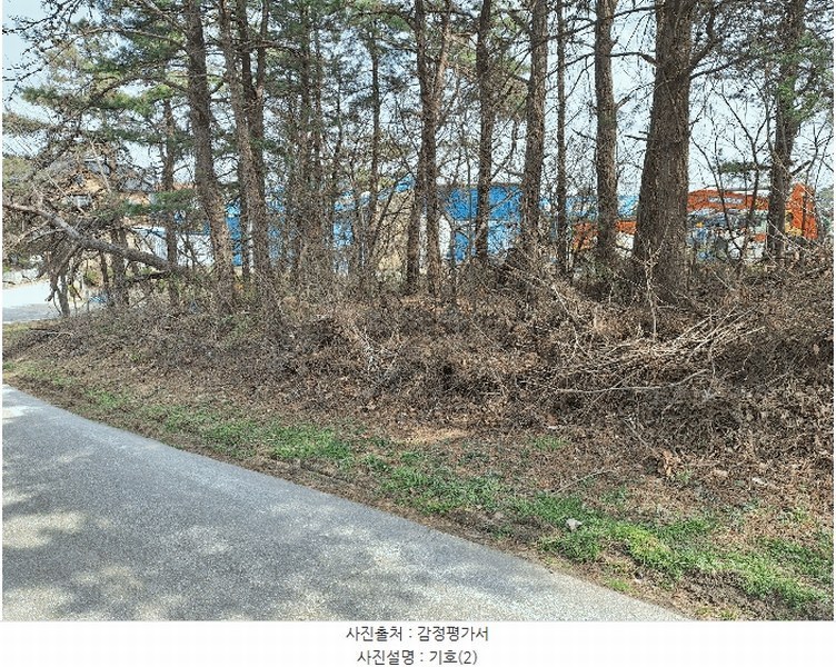 2025타경30497 강원특별자치도 강릉시 구정면 금광리 산170-1 임야 경매 이미지