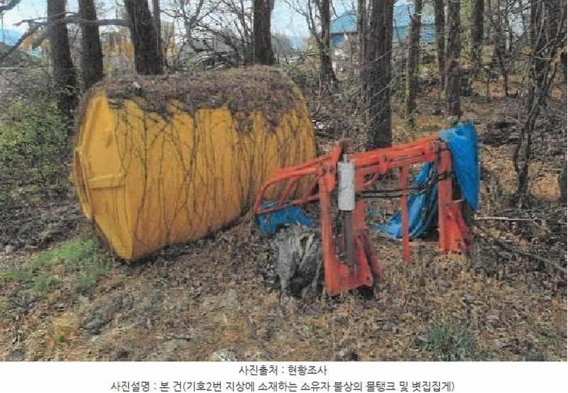 2025타경30497 강원특별자치도 강릉시 구정면 금광리 산170-1 임야 경매 이미지