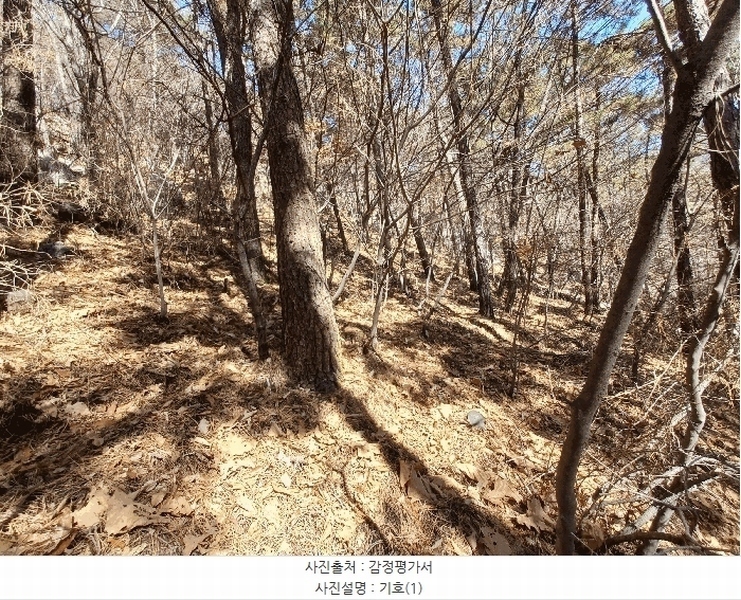 2025타경30518 경상남도 사천시 죽림동 산27-9 임야 경매 이미지