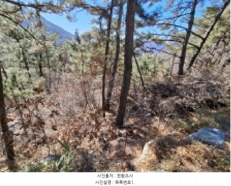 2025타경30518 경상남도 사천시 죽림동 산27-9 임야 경매 이미지