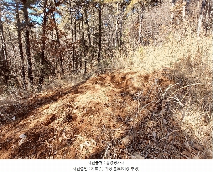 2025타경30518 경상남도 사천시 죽림동 산27-9 임야 경매 이미지