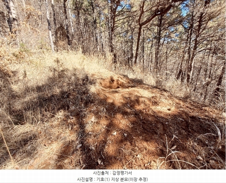 2025타경30518 경상남도 사천시 죽림동 산27-9 임야 경매 이미지