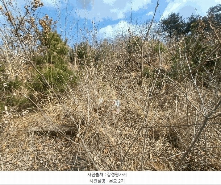 2025타경30596 경상남도 산청군 단성면 입석리 369 임야 경매 이미지