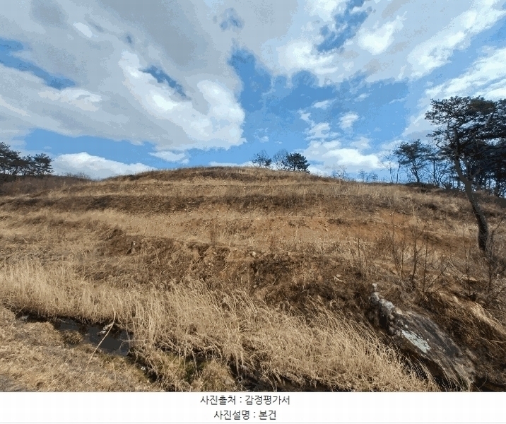 2025타경30596 경상남도 산청군 단성면 입석리 369 임야 경매 이미지