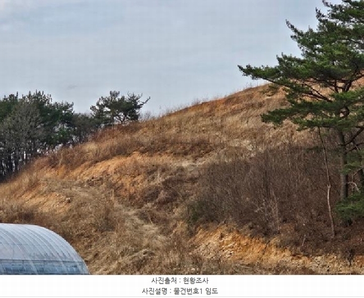 2025타경30596 경상남도 산청군 단성면 입석리 369 임야 경매 이미지