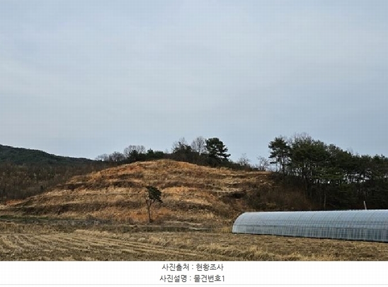 2025타경30596 경상남도 산청군 단성면 입석리 369 임야 경매 이미지