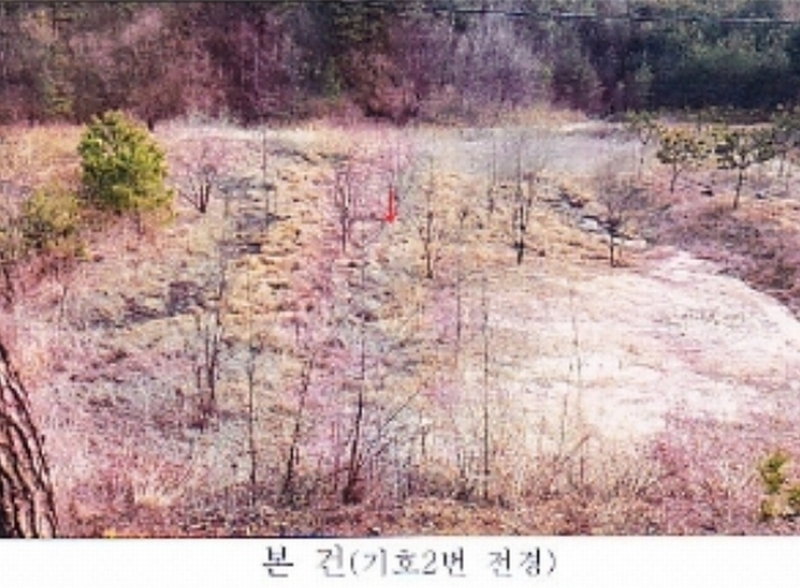 2021타경30541 강원특별자치도 강릉시 사천면 석교리 520-2 농지 경매 이미지