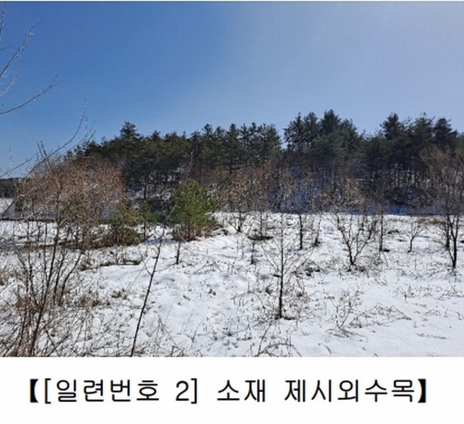 2021타경30541 강원특별자치도 강릉시 사천면 석교리 520-2 농지 경매 이미지