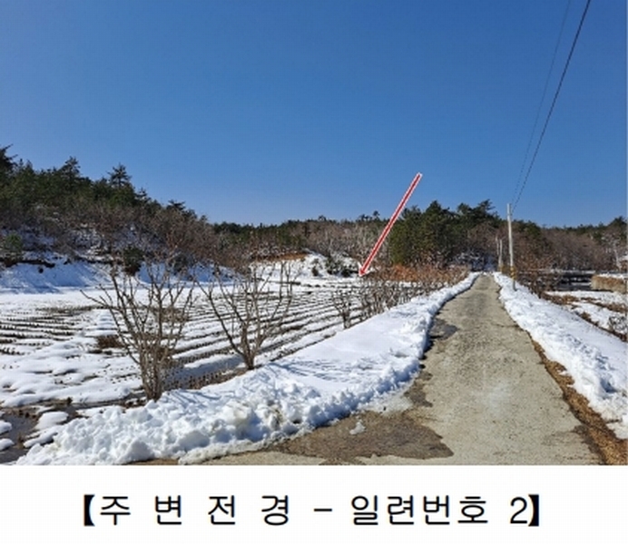 2021타경30541 강원특별자치도 강릉시 사천면 석교리 520-2 농지 경매 이미지