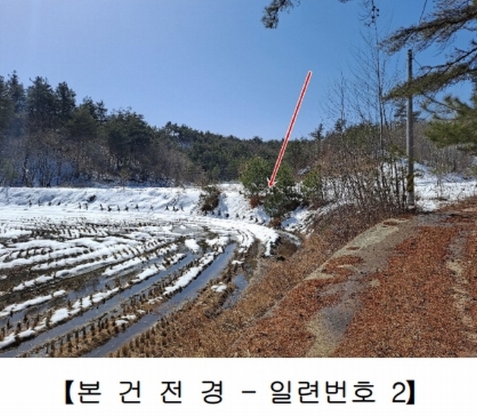2021타경30541 강원특별자치도 강릉시 사천면 석교리 520-2 농지 경매 이미지
