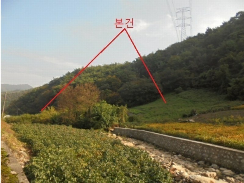 2024타경1421 충청북도 단양군 적성면 각기리 389-2 농지 경매 이미지