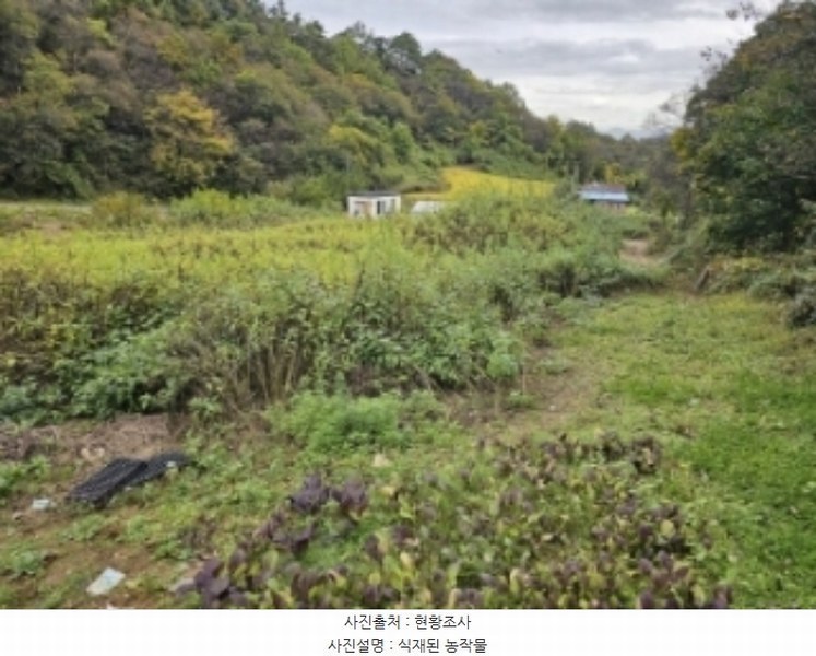 2024타경1421 충청북도 단양군 적성면 각기리 389-2 농지 경매 이미지
