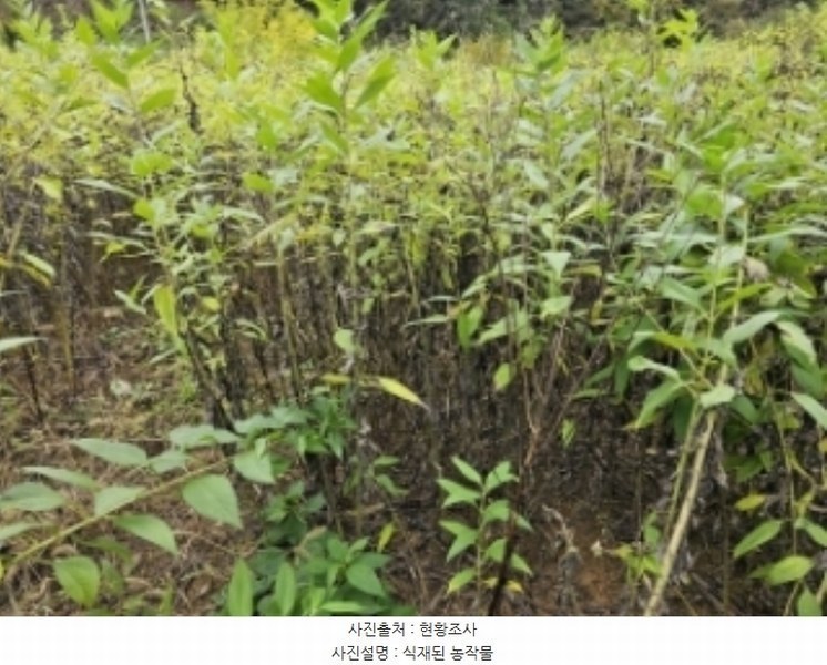 2024타경1421 충청북도 단양군 적성면 각기리 389-2 농지 경매 이미지