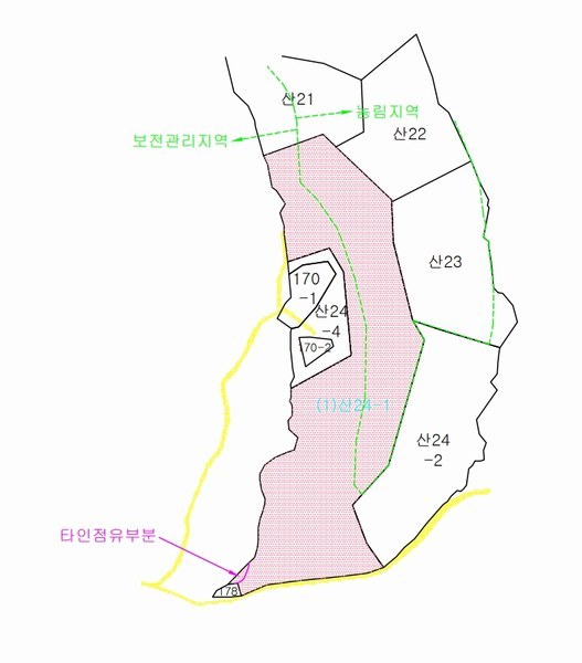 2024타경1568 경상북도 김천시 감천면 무안리 산24-1 임야 경매 이미지