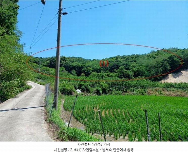 2024타경1568 경상북도 김천시 감천면 무안리 산24-1 임야 경매 이미지
