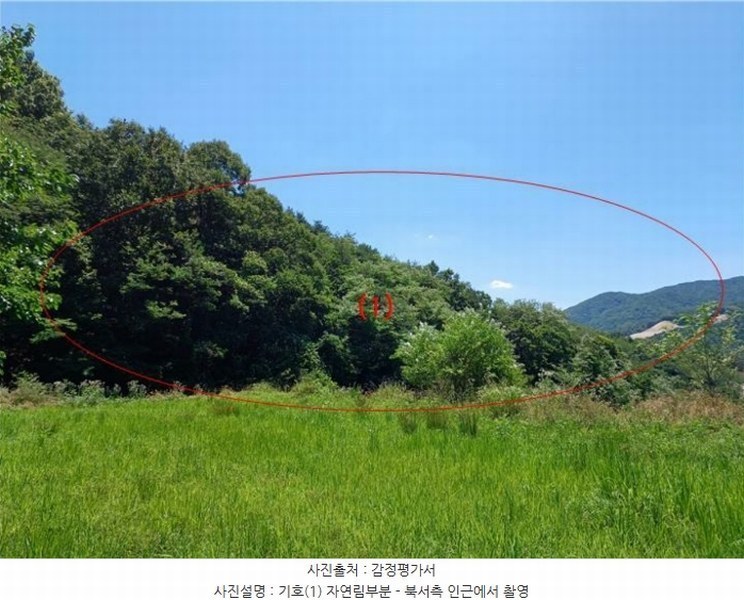 2024타경1568 경상북도 김천시 감천면 무안리 산24-1 임야 경매 이미지