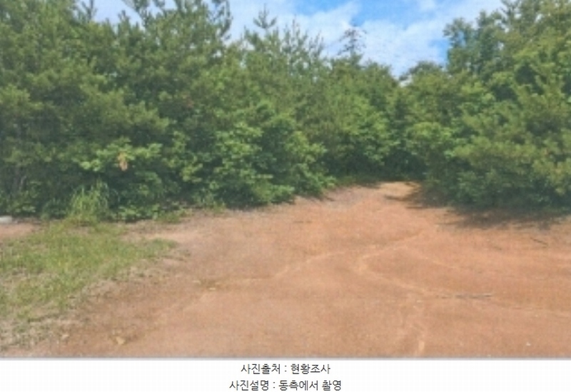 2024타경53026 강원특별자치도 강릉시 주문진읍 삼교리 산16-3 임야 경매 이미지