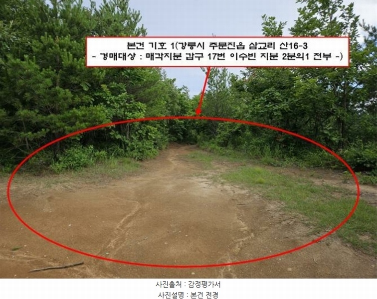 2024타경53026 강원특별자치도 강릉시 주문진읍 삼교리 산16-3 임야 경매 이미지