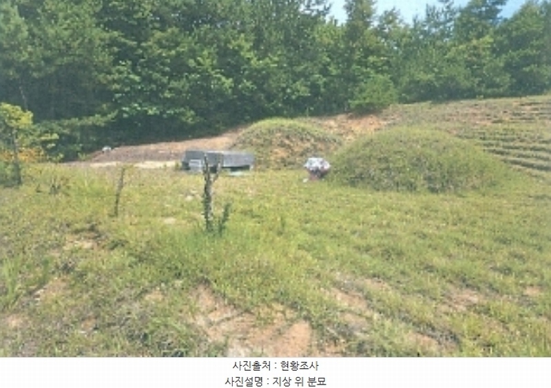 2024타경53026 강원특별자치도 강릉시 주문진읍 삼교리 산16-3 임야 경매 이미지
