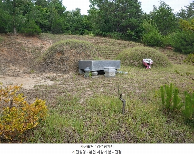 2024타경53026 강원특별자치도 강릉시 주문진읍 삼교리 산16-3 임야 경매 이미지