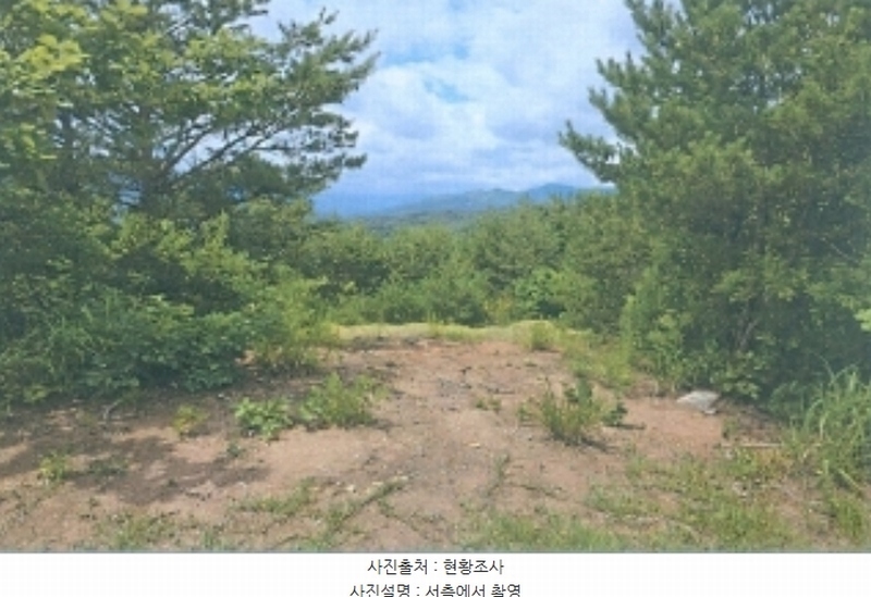 2024타경53026 강원특별자치도 강릉시 주문진읍 삼교리 산16-3 임야 경매 이미지