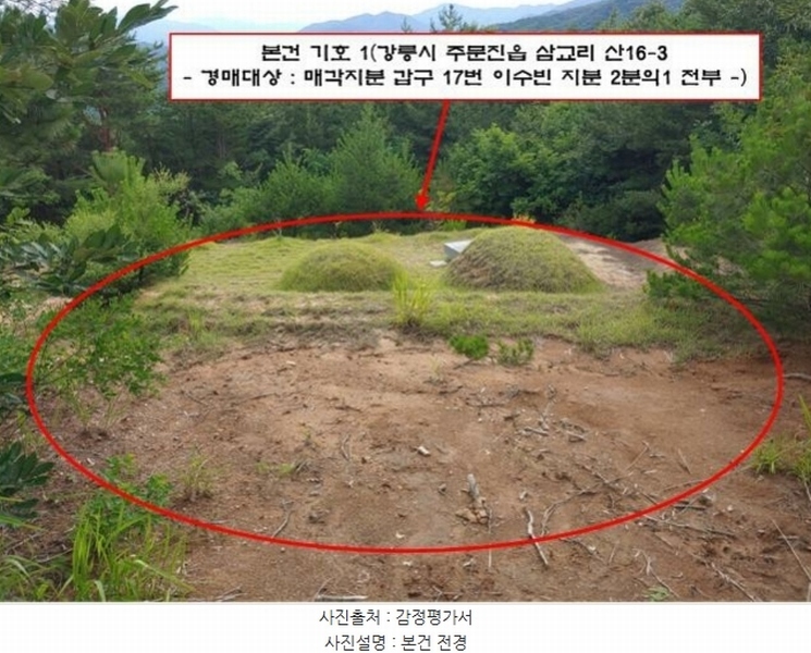 2024타경53026 강원특별자치도 강릉시 주문진읍 삼교리 산16-3 임야 경매 이미지