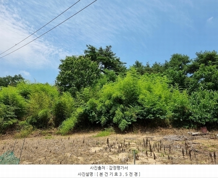 2024타경53088 강원특별자치도 강릉시 주문진읍 교항리 889-9 농지 경매 이미지