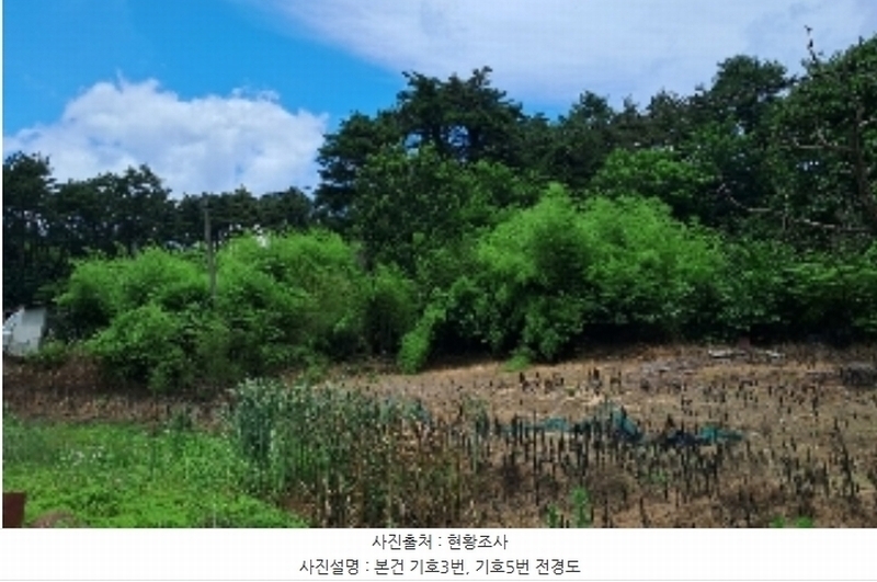 2024타경53088 강원특별자치도 강릉시 주문진읍 교항리 889-9 농지 경매 이미지