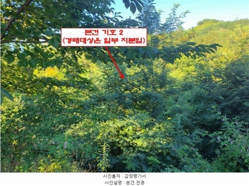 2024타경53569 강원특별자치도 삼척시 원덕읍 옥원리 40-2 농지 경매 이미지