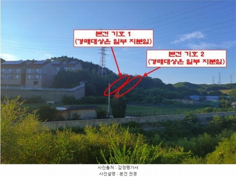 2024타경53569 강원특별자치도 삼척시 원덕읍 옥원리 40-2 농지 경매 이미지