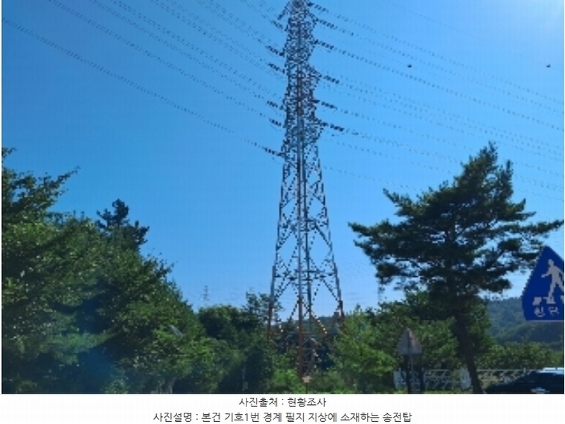 2024타경53569 강원특별자치도 삼척시 원덕읍 옥원리 40-2 농지 경매 이미지