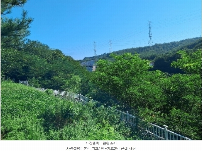 2024타경53569 강원특별자치도 삼척시 원덕읍 옥원리 40-2 농지 경매 이미지