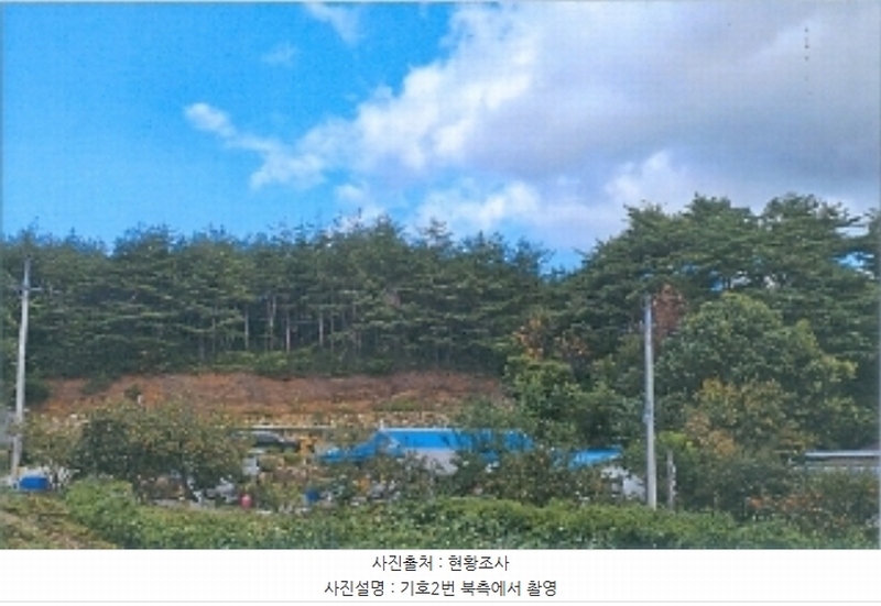2024타경54548 강원특별자치도 강릉시 구정면 제비리 산168 임야 경매 이미지