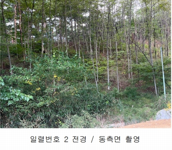 2024타경54548 강원특별자치도 강릉시 구정면 제비리 산168 임야 경매 이미지