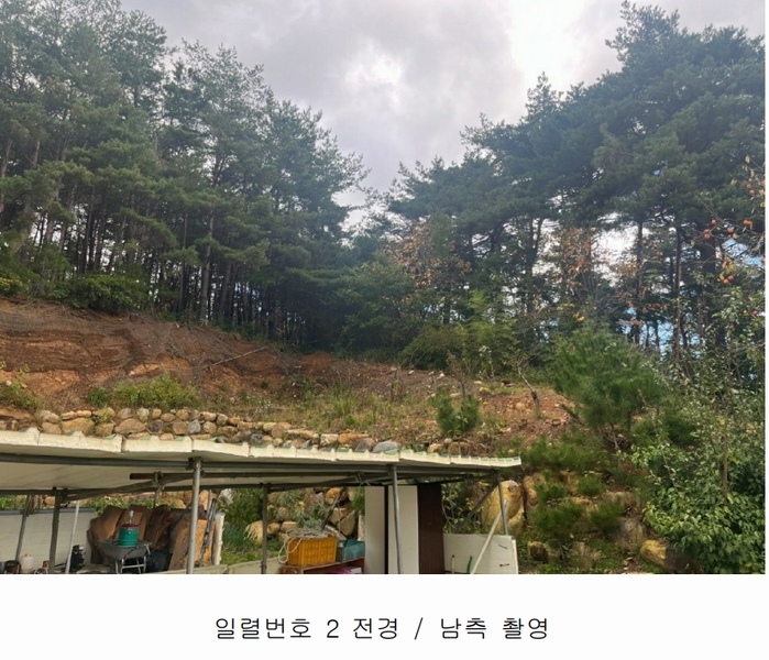 2024타경54548 강원특별자치도 강릉시 구정면 제비리 산168 임야 경매 이미지