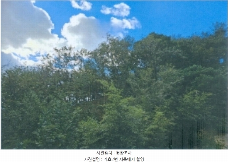 2024타경54548 강원특별자치도 강릉시 구정면 제비리 산168 임야 경매 이미지
