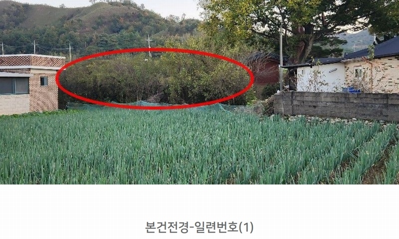 2024타경54708 강원특별자치도 삼척시 원덕읍 월천리 228-1 농지 경매 이미지