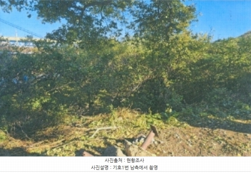 2024타경54708 강원특별자치도 삼척시 원덕읍 월천리 228-1 농지 경매 이미지
