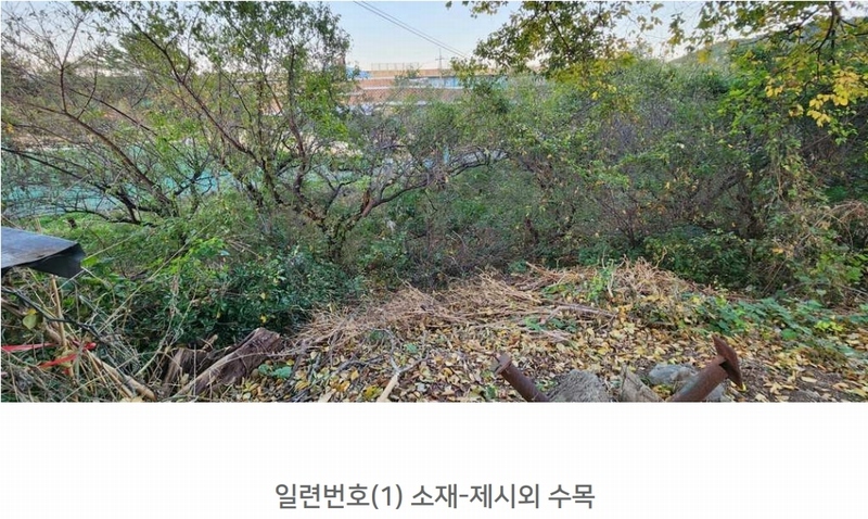 2024타경54708 강원특별자치도 삼척시 원덕읍 월천리 228-1 농지 경매 이미지
