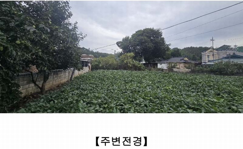 2024타경54708 강원특별자치도 삼척시 원덕읍 월천리 228-1 농지 경매 이미지