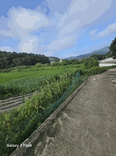 2025타경281 경상남도 창원시 마산합포구 구산면 석곡리 693 농지 경매 이미지