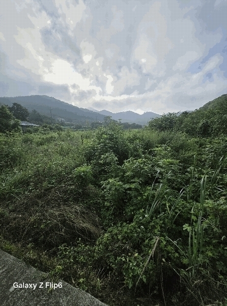2025타경281 경상남도 창원시 마산합포구 구산면 석곡리 693 농지 경매 이미지