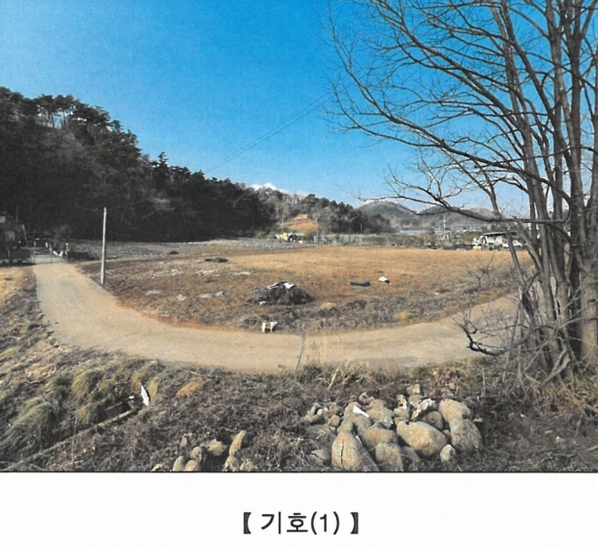 2025타경3004 강원특별자치도 삼척시 마평동 123-8 농지 경매 이미지